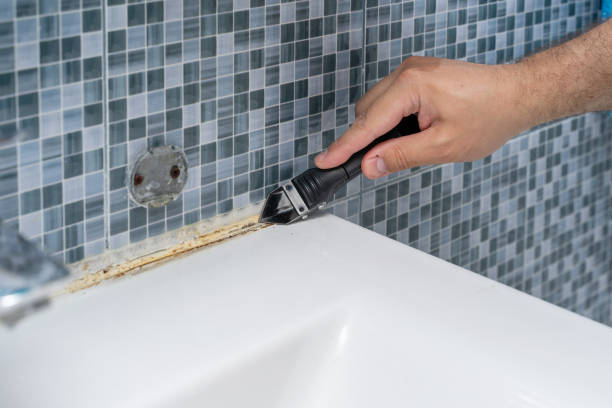 Best Best Mold Removal Companies  in Ford Heights, IL